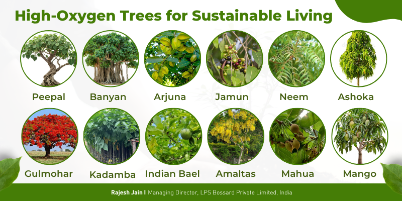 High-Oxygen Trees for Sustainable Living
